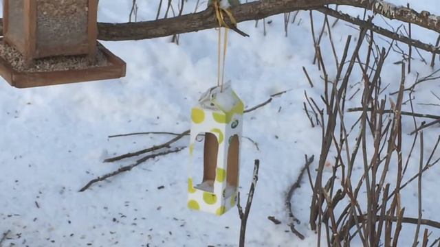 Хельсинки* кормушки для птиц (20.01.2016) смотреть онлайн