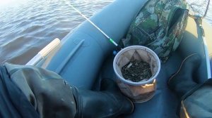 БИТВА: КОЛЬЦО (яйца) ПРОТИВ ПОДПУСКА!!! Неожиданный результат! Ловля леща с лодки в августе