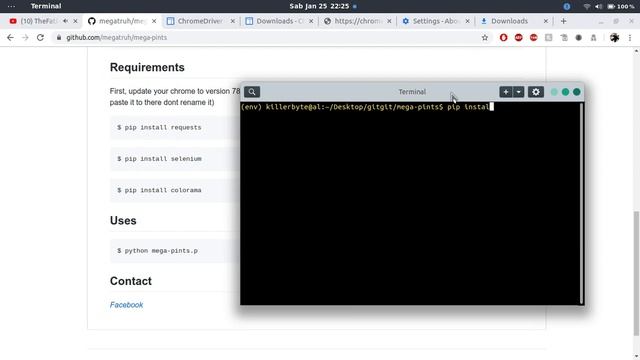 How To Download Image From Pinterest With Python - Pinterest Image Downloader смотреть онлайн