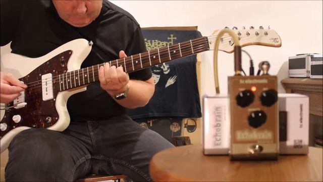 My guitar drove up in a brand new TC Electronic Echobrain смотреть онлайн