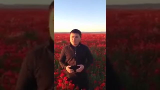 Қазақстан - Родина тюльпанов смотреть онлайн