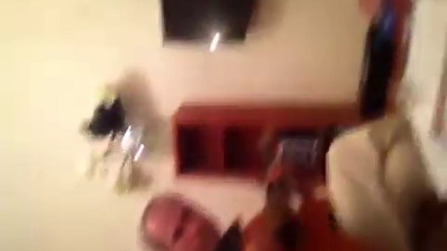 Николай Шандицев, песня об овечках смотреть онлайн