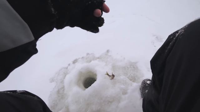 Зимняя рыбалка без ночевки. Окуни на спортивные снасти + подводная съемка смотреть онлайн