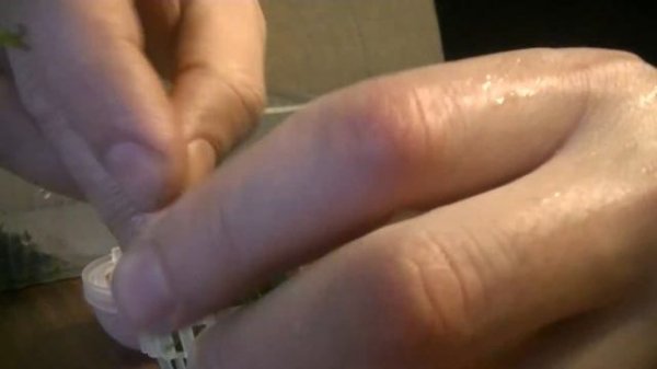 Полусфера для мха. Hemisphere for moss