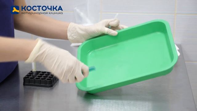 Как собрать мочу на анализ у кошки и собаки? смотреть онлайн