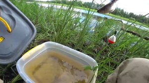 Рыбалка на поплавок. Ловля щуки на живца с берега на поплавок и спиннинг. Ловля живца на щуку.