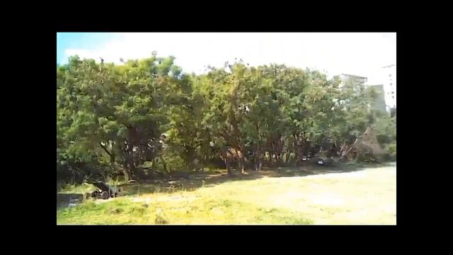 Drone sg907 max смотреть онлайн