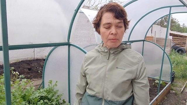 Почему редис растёт мелким и быстро уходит в "стрелку"? смотреть онлайн