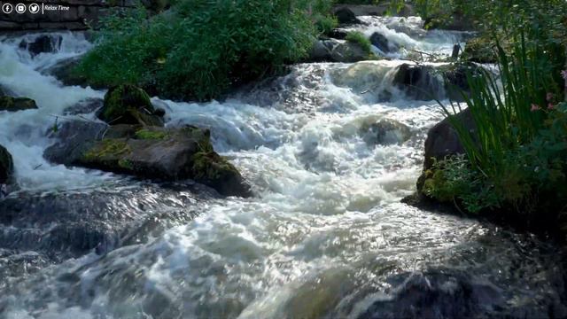 лечебная музыка для сердца и сосудов 🌿 успокаивает нервную систему и радует душу, Нежная музыка #63 смотреть онлайн