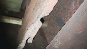 Банная печь Ермак, 3года эксплуатации, вывод