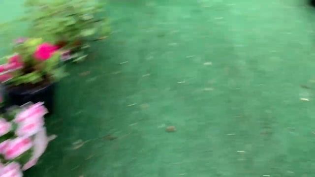 Всем спокойной ночи и самых сладких снов. смотреть онлайн