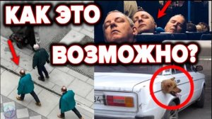 НАУКА НЕ МОЖЕТ ОБЪЯСНИТЬ ЭТО ШОКИРУЮЩИЕ факты когда МАТРИЦА дала сбой и ПРОГЛЮЧИЛА.