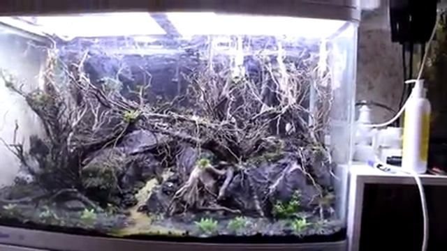 Новый проект. Часть 4. Заливаем водой аквариум. смотреть онлайн