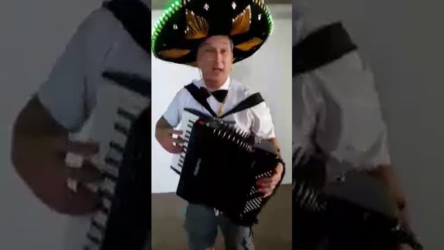 just a sample of the accordion fun смотреть онлайн