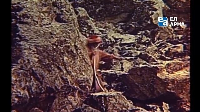 «Там, где цветут эдельвейсы» смотреть онлайн