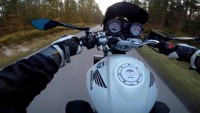 Honda Hornet 600 PC36 Wheelie, Kneedown смотреть онлайн