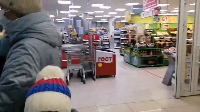 Менделеевск 01.11.2021г. смотреть онлайн