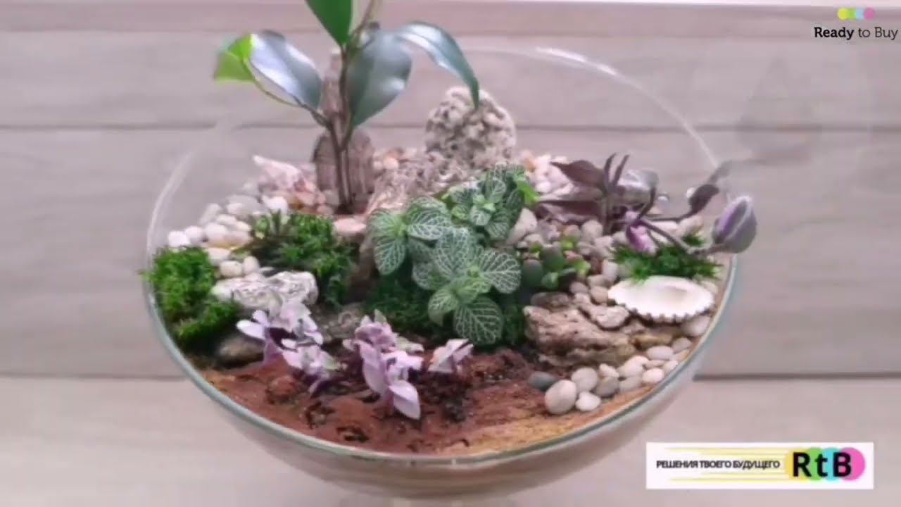 Создание Мини-сад под ключ на Ready to Buy смотреть онлайн