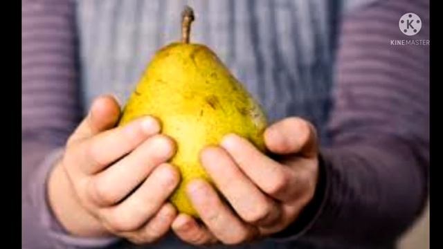 Груша, часть 1. Интересные факты из истории. смотреть онлайн