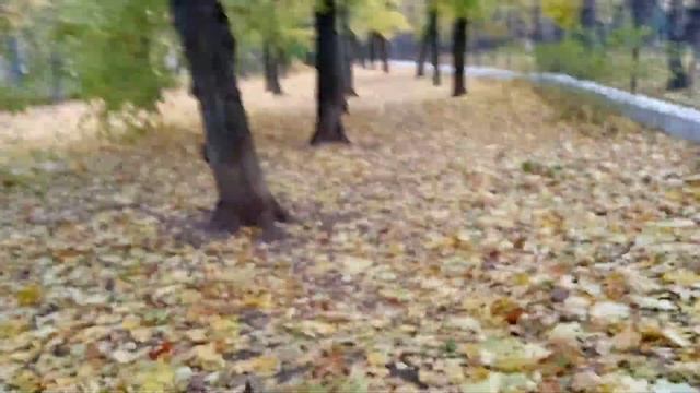 Последний день осени... Это последний осенний день в парке Дубки! смотреть онлайн