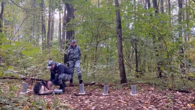 Выборка вещи, дрессировка дворняжки, поиск предмета, обучение поиску, онлайн курс- читай описание ⬇ смотреть онлайн