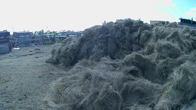 Сено лошадинная радость ковыль... смотреть онлайн