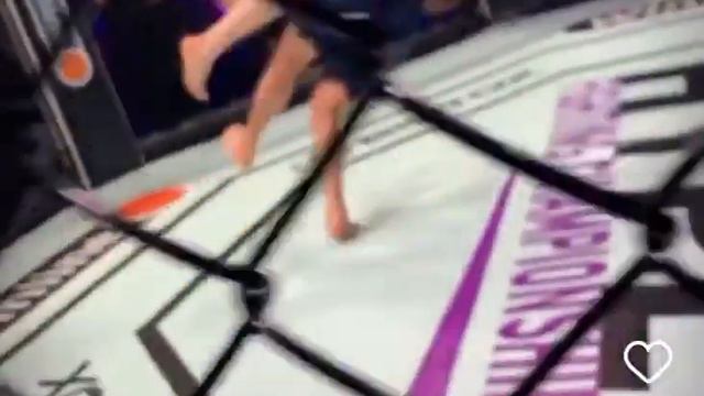 Мурад кинул Шведа шерстяной бой