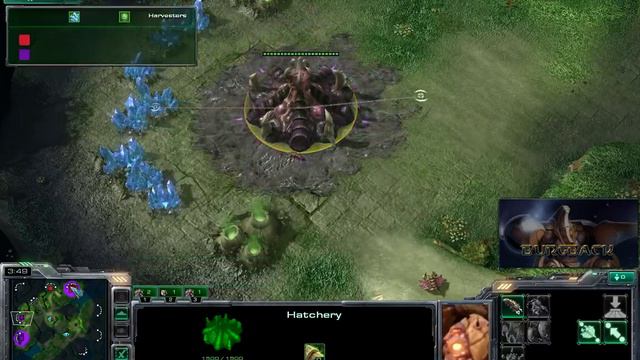 Starcraft 2 ZvZ LiquidTLO vs SEN g1 - Blizzcon Invitational 2010 смотреть онлайн