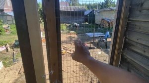 ?Утятник за 2 дня ЛЕГКО! Как построить летний утятник своими руками на даче. ?Строим загон для уток