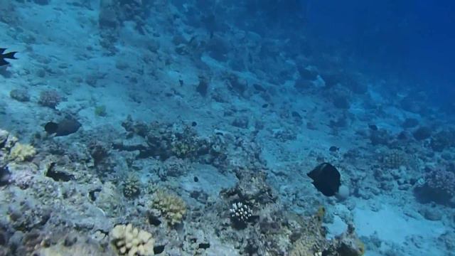 Красное море смотреть онлайн