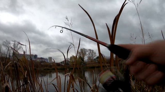 Ночной судак (р. Миасс) смотреть онлайн