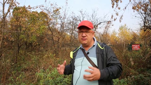 ? Землеустроительная экспертиза // Для чего нужна экспертиза по определению границ участка смотреть онлайн