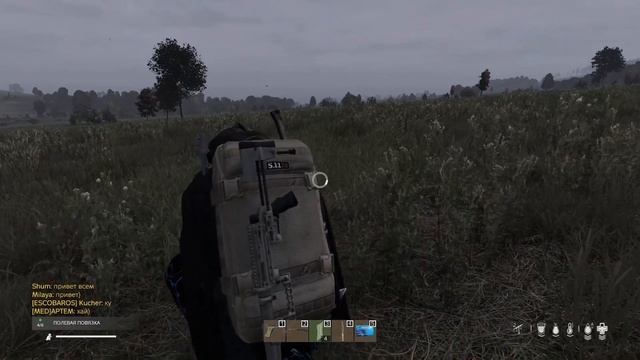 МИНИ-ГАЙД ДЛЯ НОВИЧКОВ В DAYZ: NOD PVE RUS. смотреть онлайн