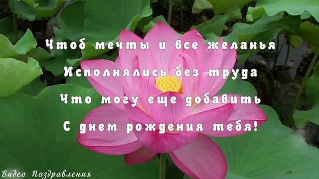 Поздравление с Днем Рождения женщине! смотреть онлайн