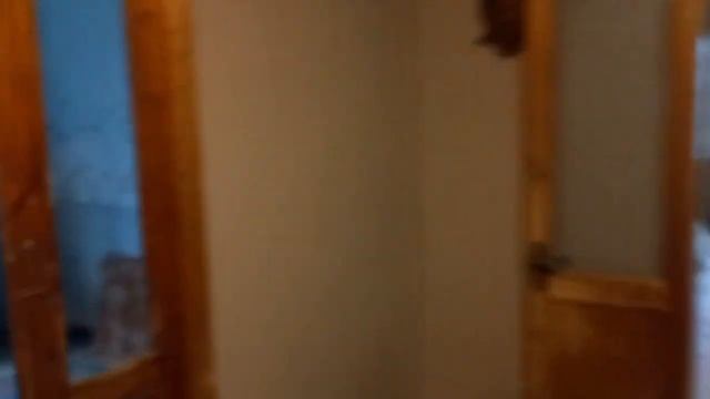 Аренда Дома в Днепре Березановка Посуточно Без посредников смотреть онлайн