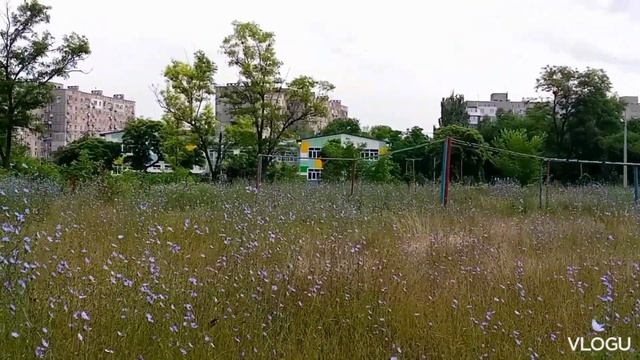 Мариуполь жизнь и восстановление - в одном из районов Васильковое поле 28.06.2023 смотреть онлайн