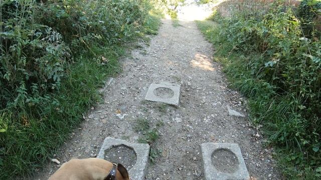 WALKS IN HAMPSHIRE ; BASINGSTOKE CANAL (DOGMERSFIELD) смотреть онлайн