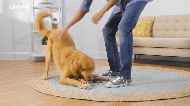 Purina Pro Plan Veterinary Calming Care Supplements | Chewy смотреть онлайн