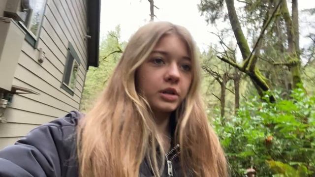 vlog из Вашингтона ? смотреть онлайн