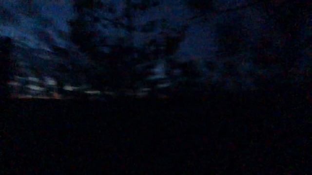 Гусь 2019 Охота на болотах #2