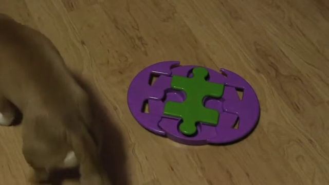 Kyjen Jigsaw Glider Dog Games Puzzle Toys смотреть онлайн