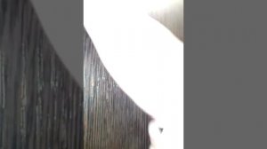 проверка проверочной работы по окружающему миру. *часть 1*😑🙄