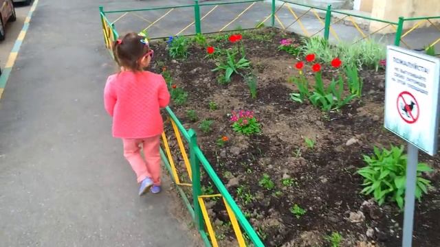 Всё подряд)))) дача, покраска, гости)))) смотреть онлайн