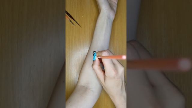 Рисунок одной линией