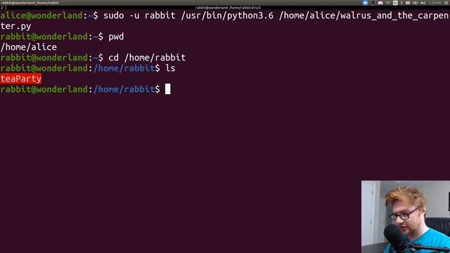 TryHackMe! Wonderland - Python Module Manipulation & Capabilities смотреть онлайн