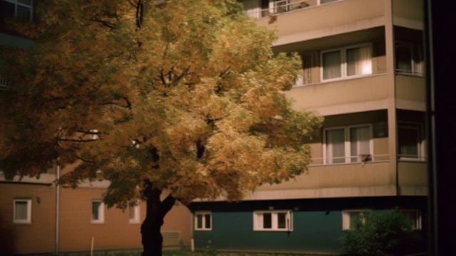 Останнім часом Ольга не вперше помічала незнайомку у дворі | Життєві історії українською смотреть онлайн