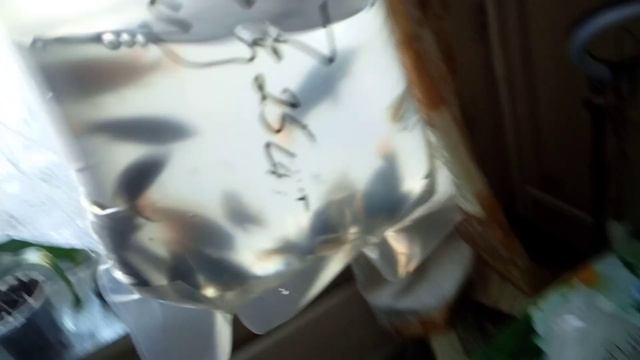 9 февраля оптом в Екат. смотреть онлайн