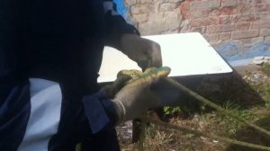 Переправа натягиваемая полиспастом только одной веревкой