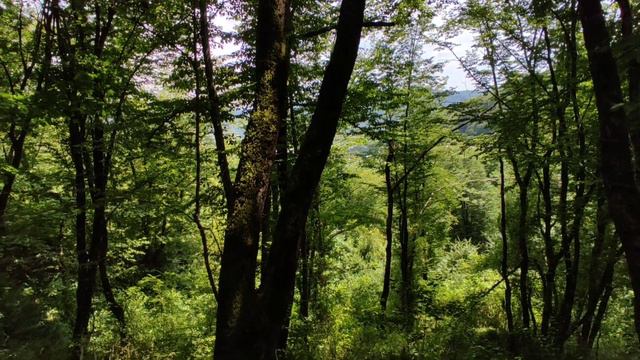 50сот в Сочи, Казачий брод. смотреть онлайн