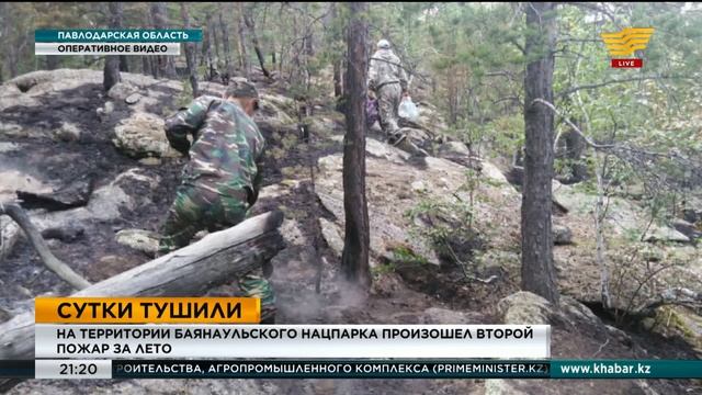 На территории Баянаульского нацпарка произошел второй пожар за лето смотреть онлайн